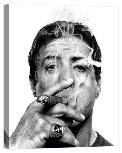 Quadro stallone stampa tela - stallone,