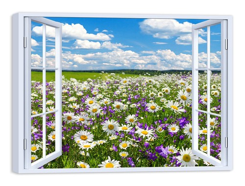 Quadro stampa tela - quadro,