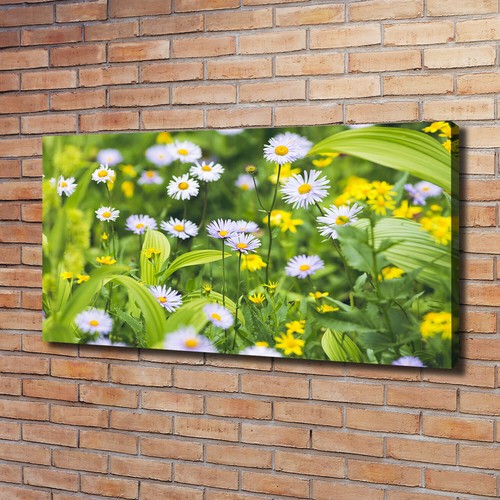 Tulup dipinto tela pittura - tela,