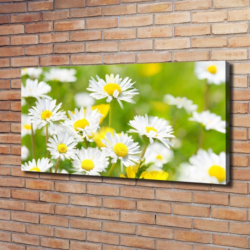 Tulup dipinto tela - dipinto, pittura