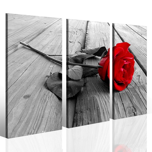 Quadri moderni rosa rossa red - moderni,