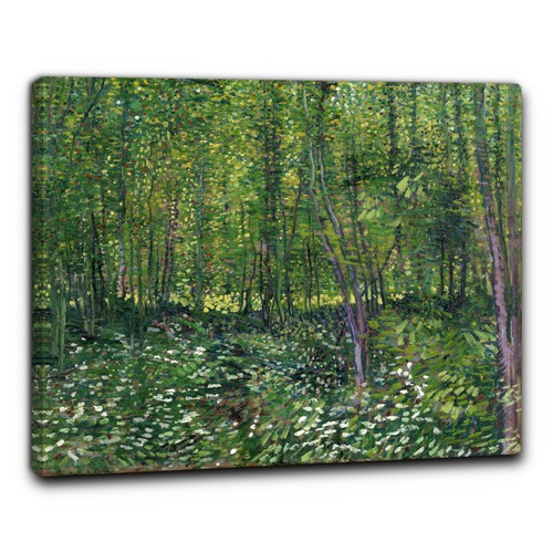 Niik quadro sottobosco - quadro,