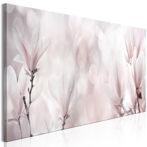 Magnolie fiori rosa quadro su - magnolie,