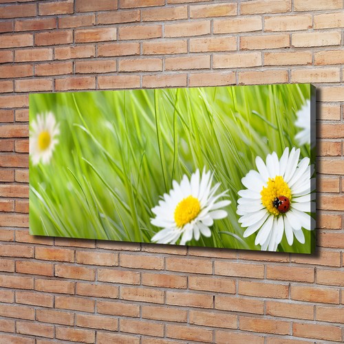 Tulup dipinto tela - tulup, pittura